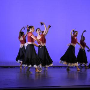 Fotografía de Talleres Danza Española (galería 2) - Conservatorio de Danza
